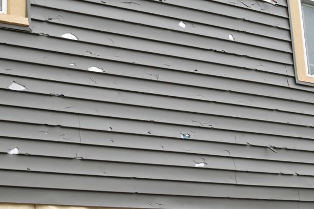 Best Shed Removal  in Ashland, OR
